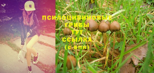 2c-b Гусь-Хрустальный