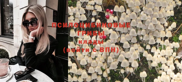 гашик Гусиноозёрск