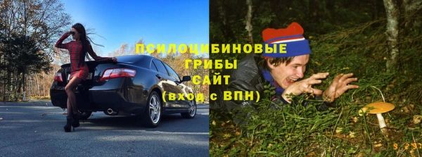 2c-b Гусь-Хрустальный