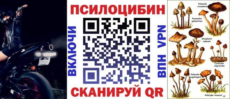 Галлюциногенные грибы мухоморы  ссылка на мегу tor  Ессентукская 